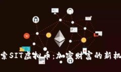 探索SIT虚拟币：加密财富的新机遇