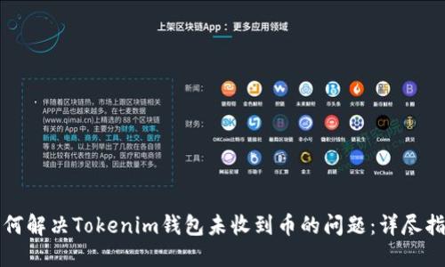 如何解决Tokenim钱包未收到币的问题：详尽指南