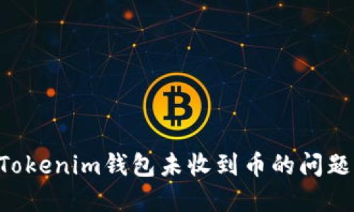 如何解决Tokenim钱包未收到币的问题：详尽指南