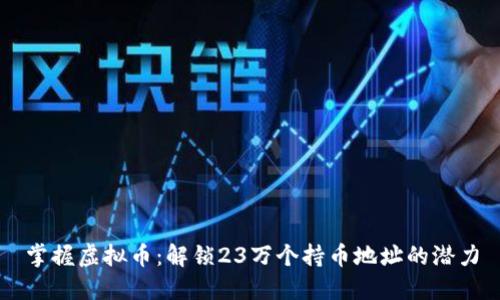 掌握虚拟币：解锁23万个持币地址的潜力