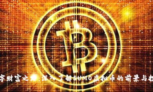 踏上数字财富之路：深入了解SUMO虚拟币的前景与投资策略