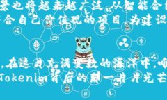 剖析国内Tokenim的真相，揭秘投资新机遇Tokenim, 投