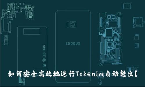 如何安全高效地进行Tokenim自动转出？
