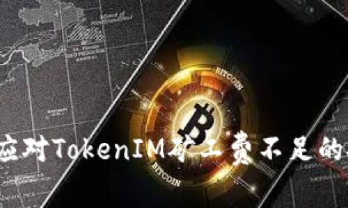 如何应对TokenIM矿工费不足的挑战？
