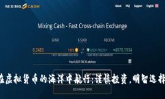 在虚拟货币的海洋中航行：谨慎投资，明智选择