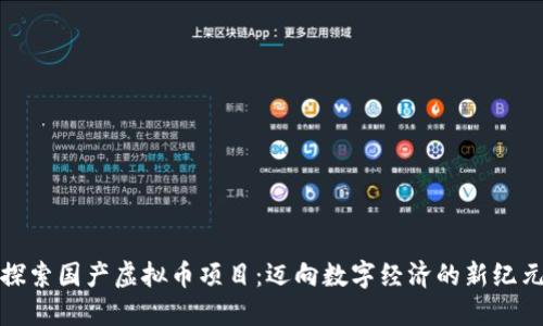 探索国产虚拟币项目：迈向数字经济的新纪元