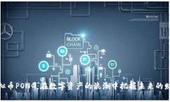 探索虚拟币PONG：在数字资产的浪潮中把握未来的