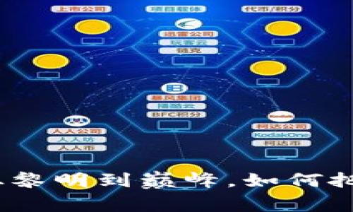 解密虚拟货币：从黎明到巅峰，如何把握未来财富之钥