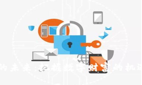 虚拟币的未来：把握数字财富的机遇与挑战