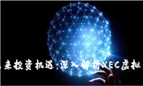 抓住未来投资机遇：深入解析XEC虚拟币行情