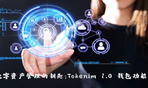 开启未来数字资产管理的钥匙：Tokenim 1.0 钱包功能与实践指南