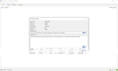 探索狮子币：驾驭数字货币的未来之路