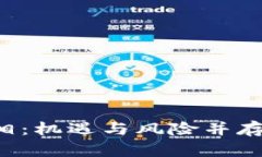 揭秘虚拟币炒作的真相：机遇与风险并存，稳健