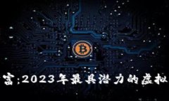 探寻未来财富：2023年最具潜力的虚拟币投资机会