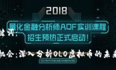 与关键词：抓住机会：深入分析OLO虚拟币的未来
