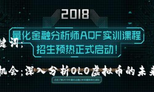 与关键词：

抓住机会：深入分析OLO虚拟币的未来潜力