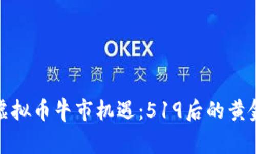 把握虚拟币牛市机遇：519后的黄金时刻