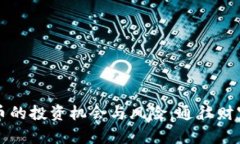 私募虚拟币的投资机会与风险：通往财富的双刃