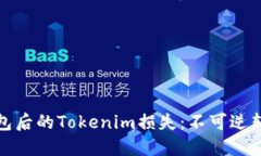 删除钱包后的Tokenim损失：不可逆转的教训