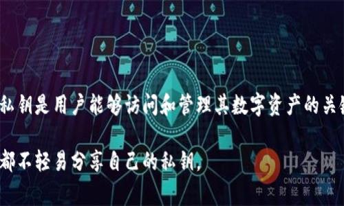 TokenIM是一款加密钱包应用，主要用于数字货币的存储和管理。明文私钥指的是未经过任何加密处理的私钥，通常用一串字母和数字表示。私钥是用户能够访问和管理其数字资产的关键，任何掌握私钥的人都可以控制与之对应的数字货币。因此，保护私钥的安全至关重要，建议用户尽量避免将私钥以明文形式存储或者分享。

如果你在使用TokenIM或其他钱包时遇到私钥相关的问题，建议查阅官方文档或咨询专业人士，以确保资产的安全。同时，牢记在任何情况下都不轻易分享自己的私钥。