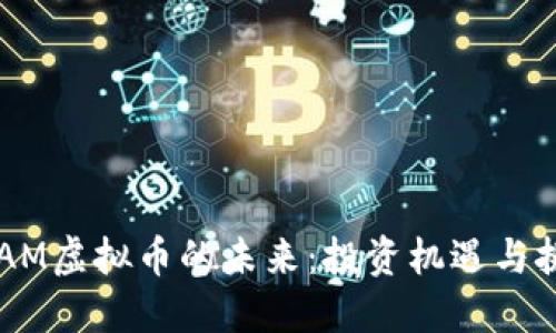 GRAM虚拟币的未来：投资机遇与挑战