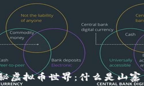   
揭秘虚拟币世界：什么是山寨币？