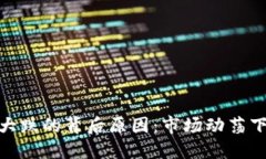 探秘虚拟币大跌的背后原因：市场动荡下的投资