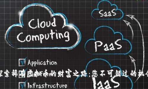 探索稀有虚拟币的财富之路：您不可错过的机会