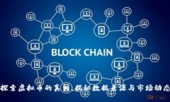 探索虚拟币的真相：揭秘数据来源与市场动态