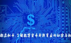 拥抱虚拟币：了解数字货币升降背后的秘密与机