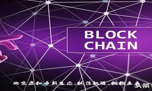 北京虚拟币新生态：抓住机遇，拥抱未来