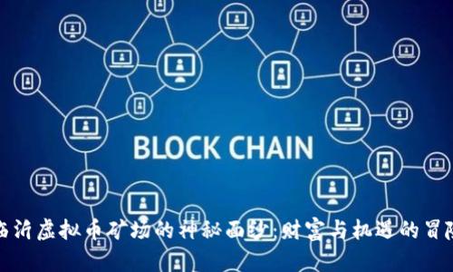 揭开临沂虚拟币矿场的神秘面纱：财富与机遇的冒险之旅