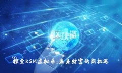 探索KSM虚拟币：未来财富的新机遇