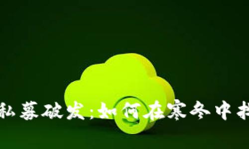 虚拟币投资私募破发：如何在寒冬中找到逆袭之路