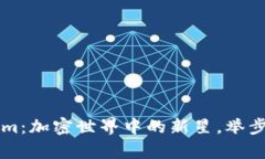 币安链Tokenim：加密世界中的新星，举步迈向财富