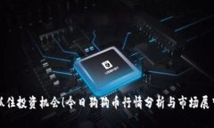 抓住投资机会！今日狗狗币行情分析与市场展望