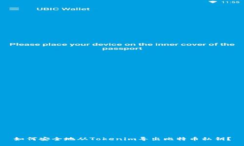 如何安全地从Tokenim导出比特币私钥？