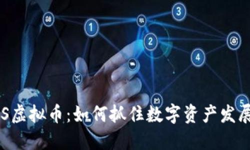 揭秘BDS虚拟币：如何抓住数字资产发展的浪潮