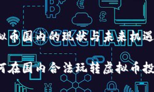 虚拟币国内的现状与未来机遇

如何在国内合法玩转虚拟币投资？