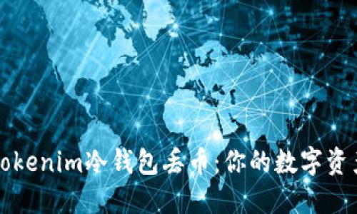 如何防止Tokenim冷钱包丢币：你的数字资产安全指南
