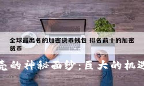 揭开虚拟币贝壳的神秘面纱：巨大的机遇与无尽的挑战