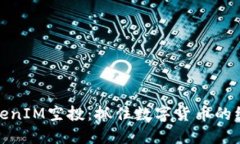 揭秘TokenIM空投：抓住数字货币的绝佳机会