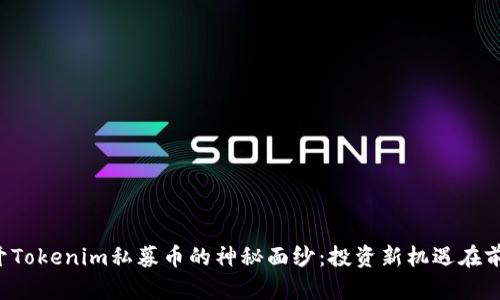 揭开Tokenim私募币的神秘面纱：投资新机遇在前方！