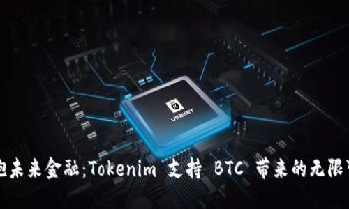 拥抱未来金融：Tokenim 支持 BTC 带来的无限可能