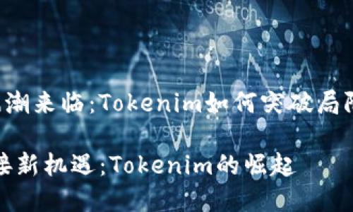 当虚拟货币风潮来临：Tokenim如何突破局限，进军新市场

打破局限，迎接新机遇：Tokenim的崛起