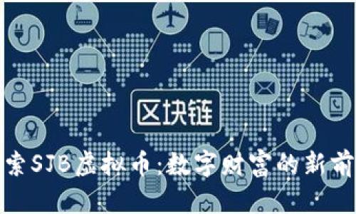 探索SJB虚拟币：数字财富的新前沿