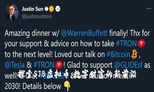 探索SJB虚拟币：数字财富的新前沿