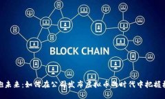 拥抱未来：如何在公司发布虚拟币的时代中把握