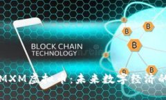 深入探索MXM虚拟币：未来数字经济的潜力之宝