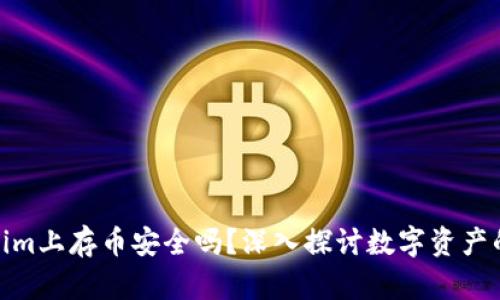在Tokenim上存币安全吗？深入探讨数字资产的安全性